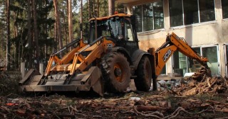 Расчистка участка Лесозаводск, цена от 5256 руб.